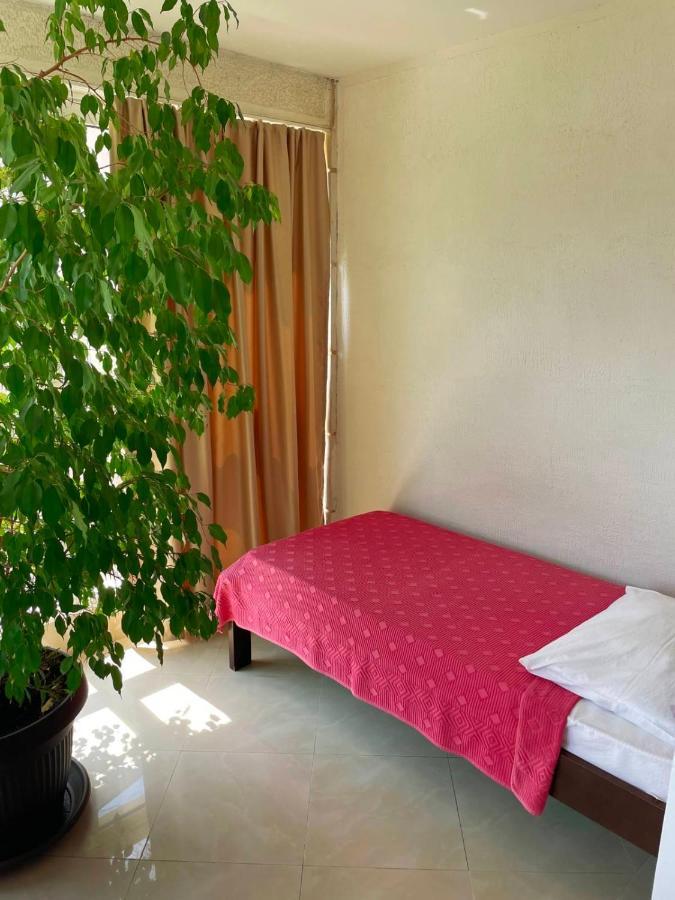 تْشيرسيك نوفي Apartmani Mina المظهر الخارجي الصورة
